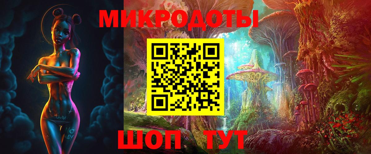 Галлюциногенные грибы Psilocybine cubensis  Советская Гавань 