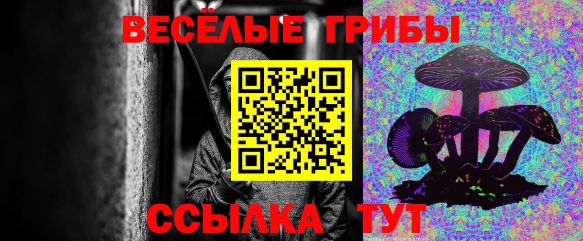 Псилоцибиновые грибы Magic Shrooms Советская Гавань